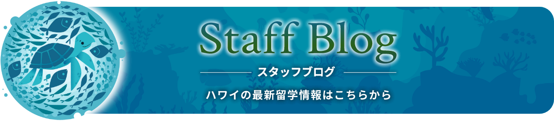 スタッフブログ
