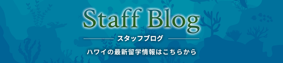 スタッフブログ