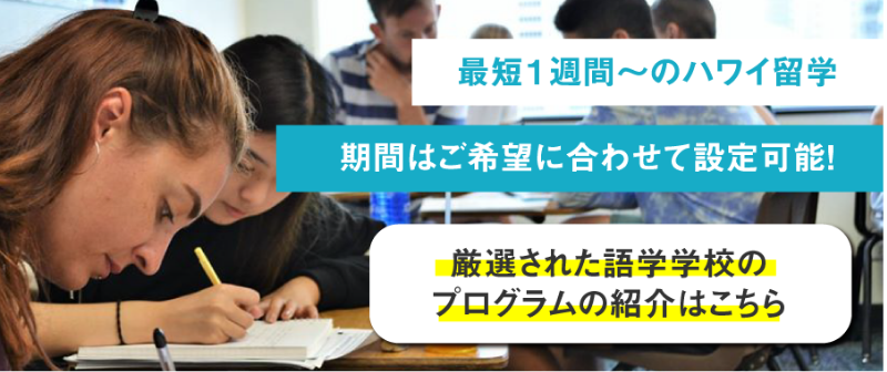 プログラム一覧